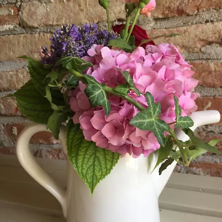 Canonica Dei Templari